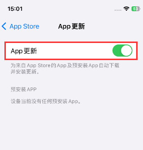 沙河口苹果15维修中心如何让iPhone15APP自动更新